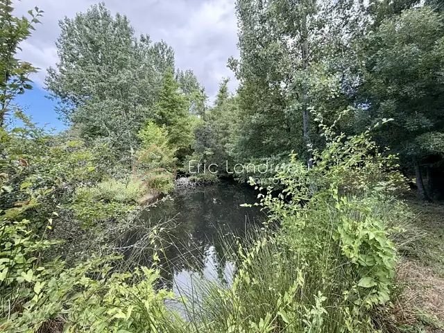 Étang d'agrément à ch Talmont-Saint-Hilaire — photo 2