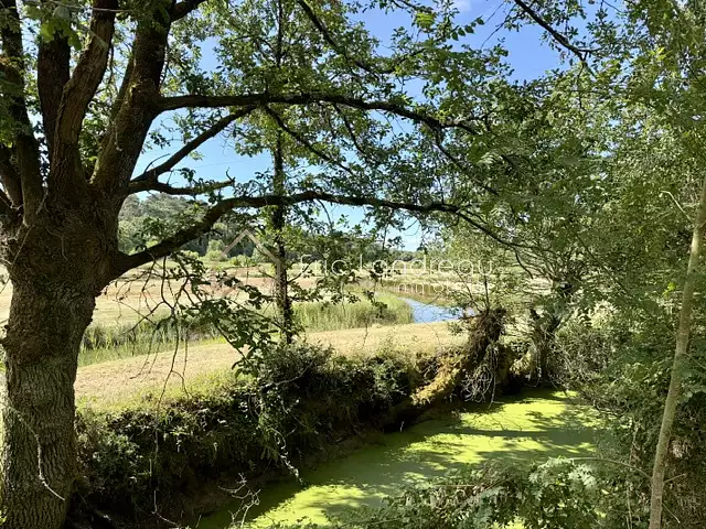 Leisure pond with mature trees in Vendée, Pays de la Loire — photo 5