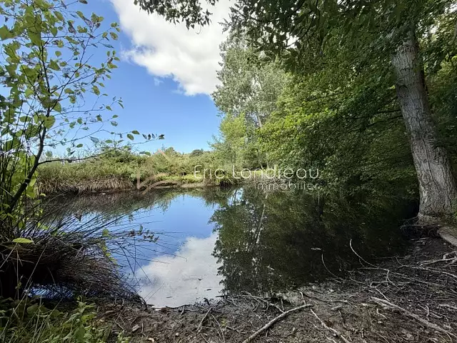 Étang d'agrément à ch Talmont-Saint-Hilaire — photo 4