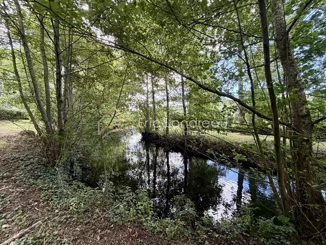 Étang d'agrément à ch Talmont-Saint-Hilaire — photo 3