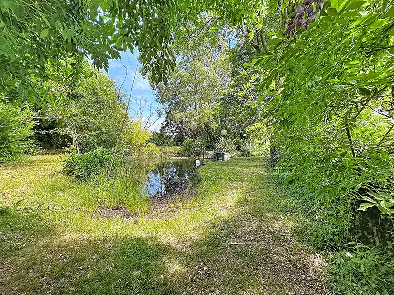 Étang d'agrément à Vertou — photo 3
