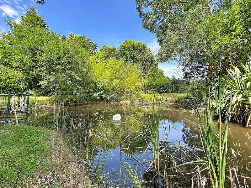 Étang d'agrément à Vertou — photo 2