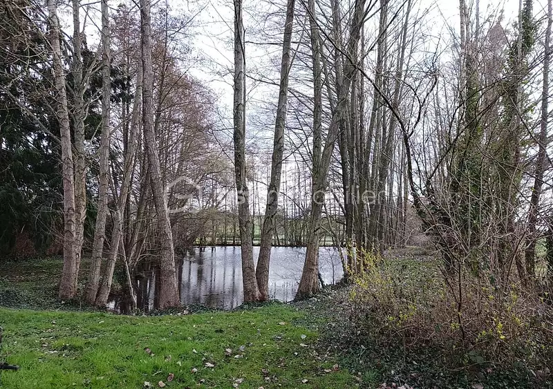 Étang de pêche à Craon — photo 5