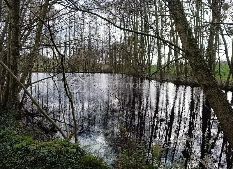 Étang de pêche à Craon