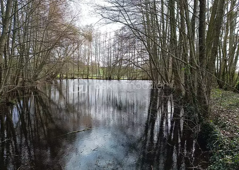 Étang de pêche à Craon