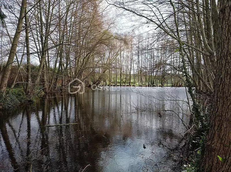 Étang de pêche à Craon — photo 4