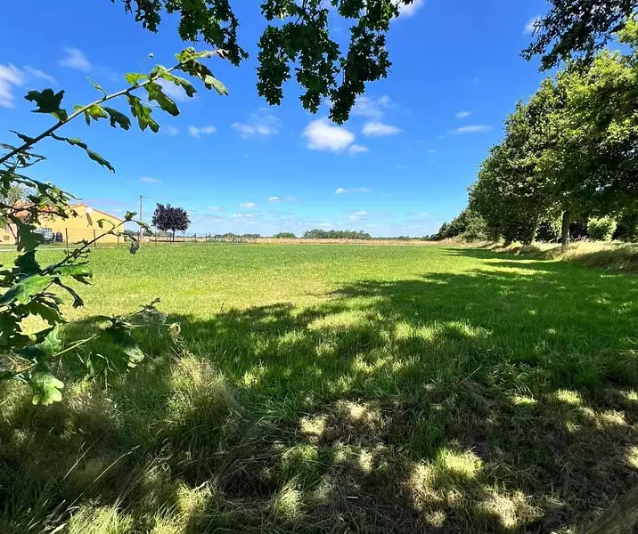 Étang d'agrément à Venansault