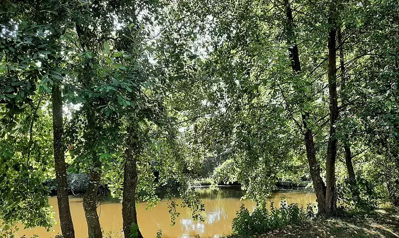 Étang d'agrément à Breuil-Barret — photo 3
