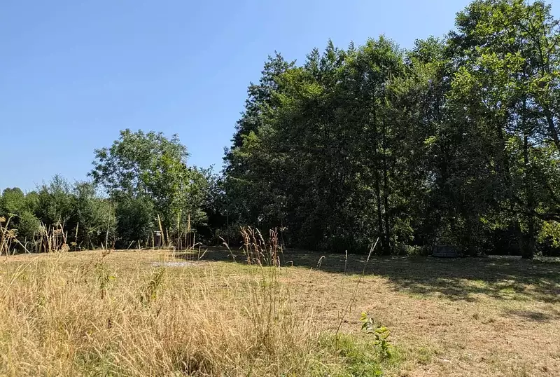 Étang d'agrément à Breuil-Barret — photo 4