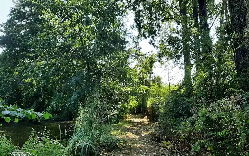 Étang d'agrément à Breuil-Barret — photo 2