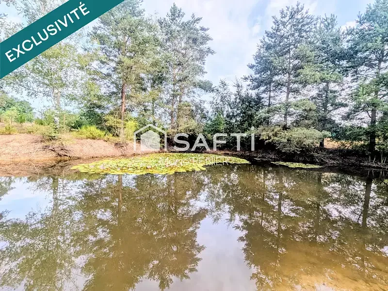 Étang de pêche à Aubigne Racan (72) — photo 3