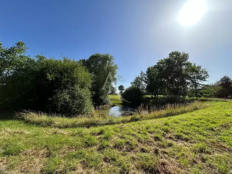 Étang de loisir à Pree D Anjou (53)