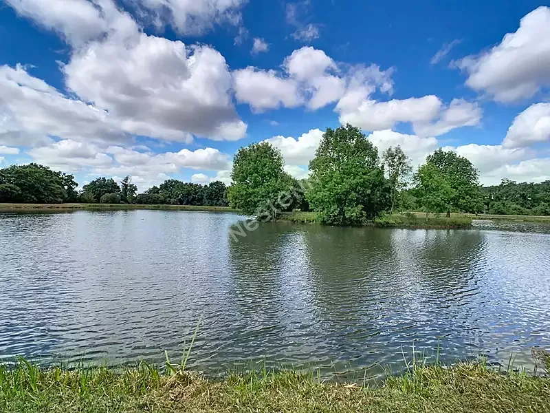 Étang de pêche à Getigne (44) — photo 2