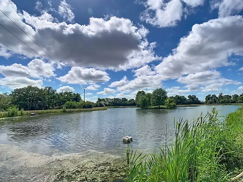 Étang de pêche à Getigne (44) — photo 3