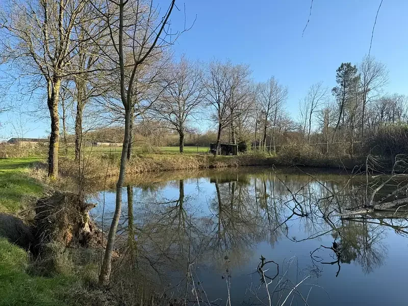 Étang de pêche à La Reorthe (85) — photo 2