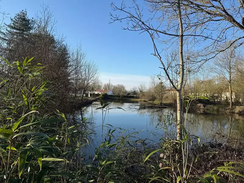 Étang de pêche à La Reorthe (85) — photo 3
