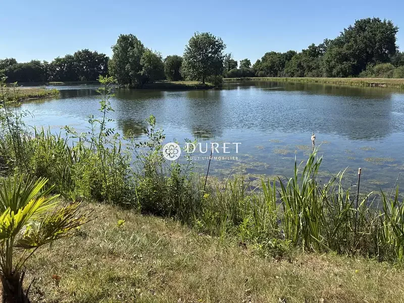 Étang de pêche à Getigne (44)