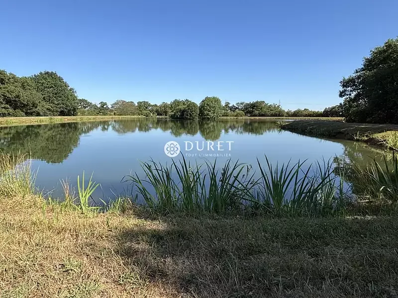 Étang de pêche à Getigne (44) — photo 2
