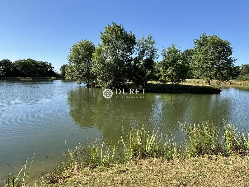Étang de pêche à Getigne (44) — photo 3