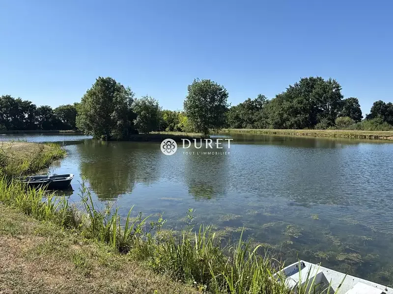 Étang de pêche à Getigne (44) — photo 5