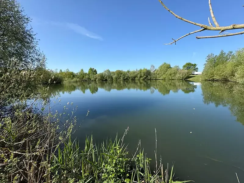 Étang de pêche à La Bruere Sur Loir (72)