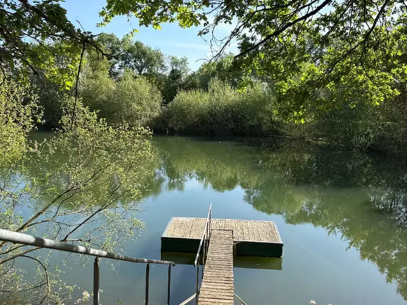Étang de pêche à La Bruere Sur Loir (72) — photo 2