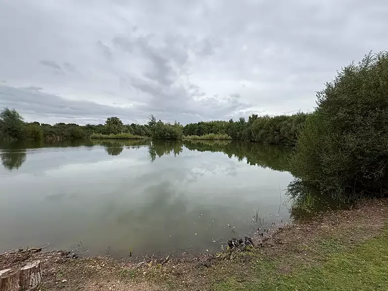Étang de pêche à La Bruere Sur Loir (72) — photo 3