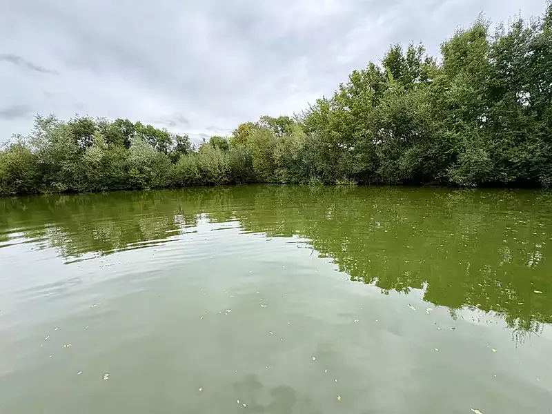 Étang de pêche à La Bruere Sur Loir (72) — photo 4