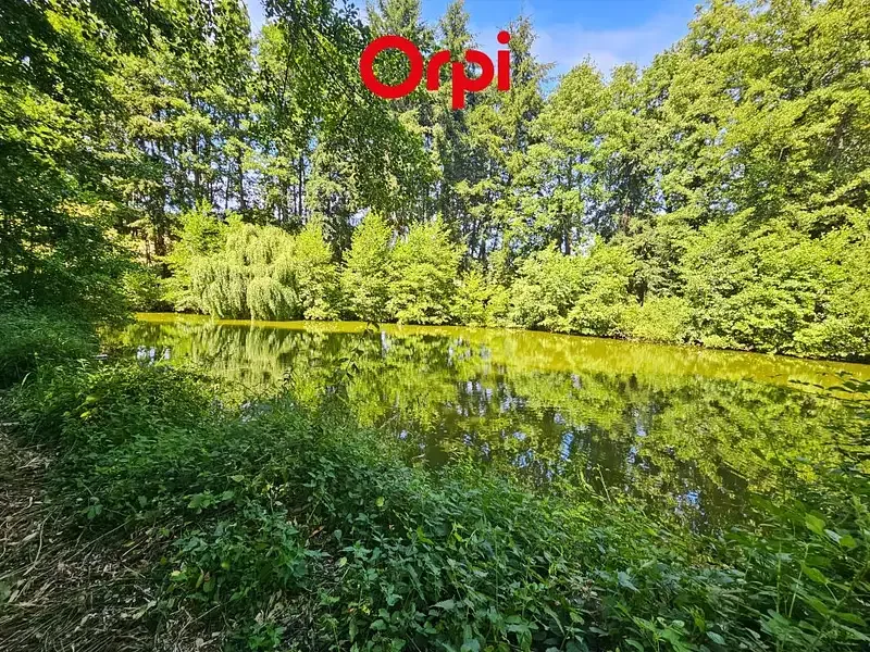 Étang de loisir à Greez Sur Roc (72) — photo 2