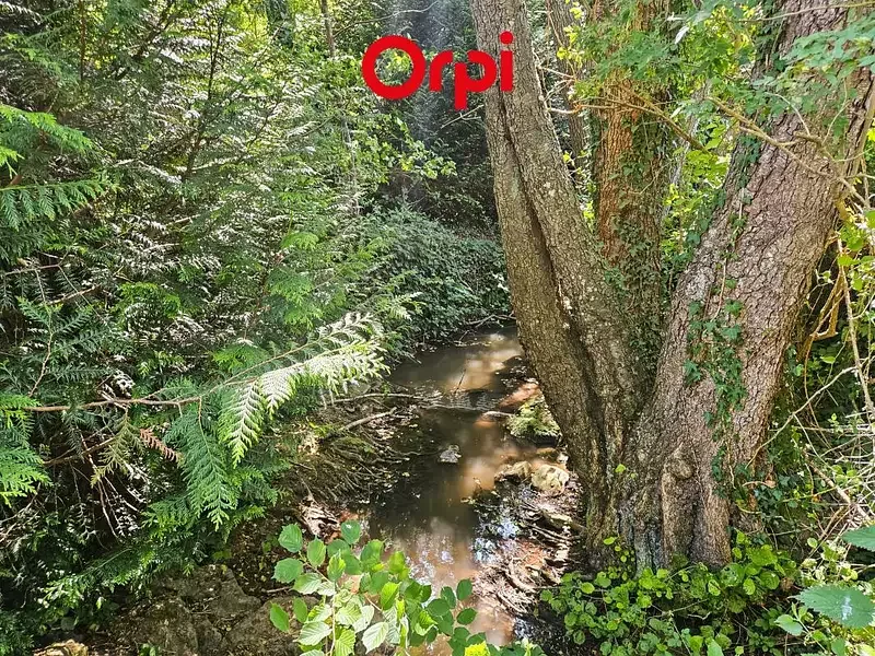 Étang de loisir à Greez Sur Roc (72) — photo 5