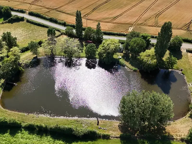 Étang de pêche à Saint Laurent De La Salle (85)