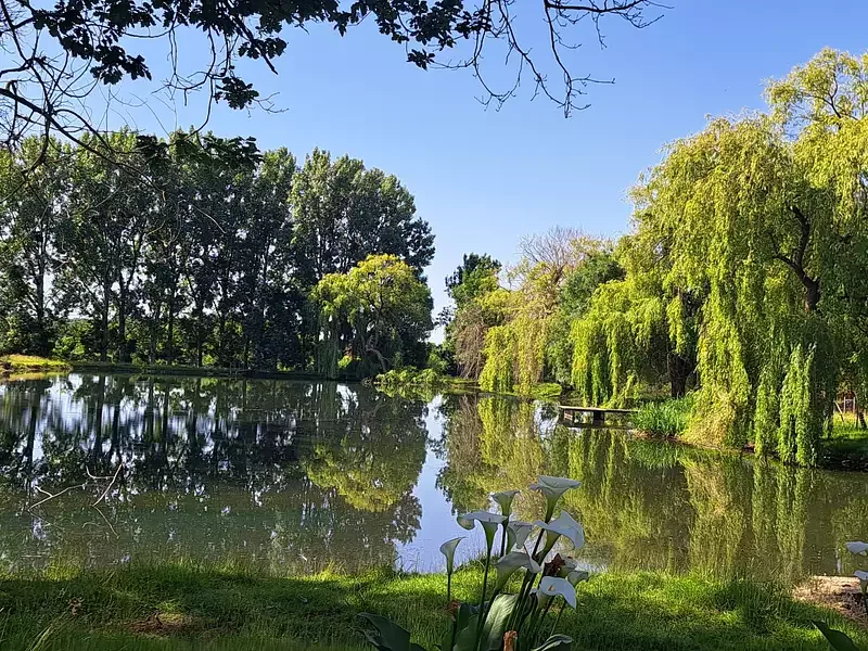 Étang de pêche à Saint Laurent De La Salle (85) — photo 2