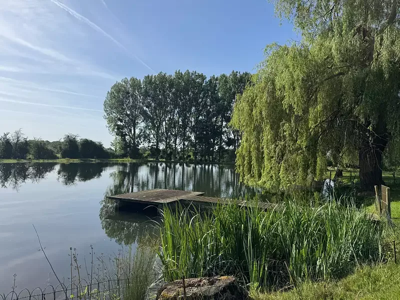 Étang de pêche à Saint Laurent De La Salle (85) — photo 3