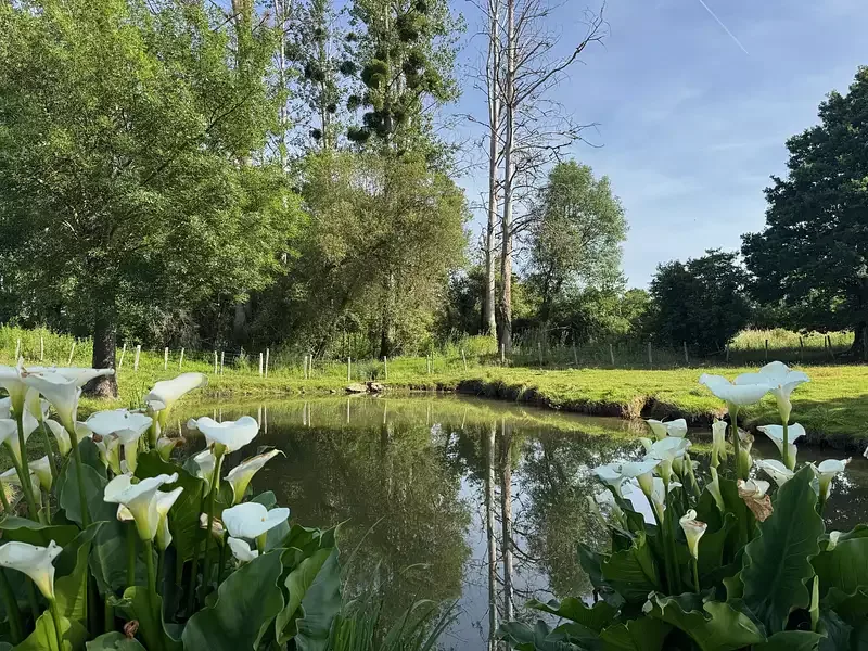 Étang de pêche à Saint Laurent De La Salle (85) — photo 4