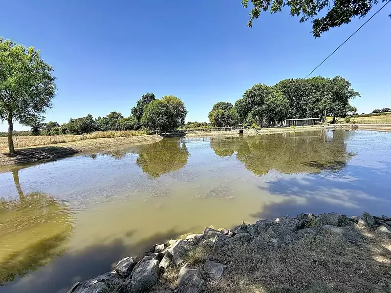 Étang de pêche à Chateaubriant (44) — photo 5