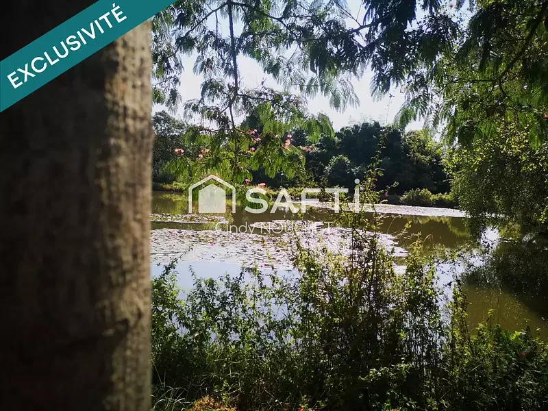 Étang de loisir à Noyen Sur Sarthe (72) — photo 3