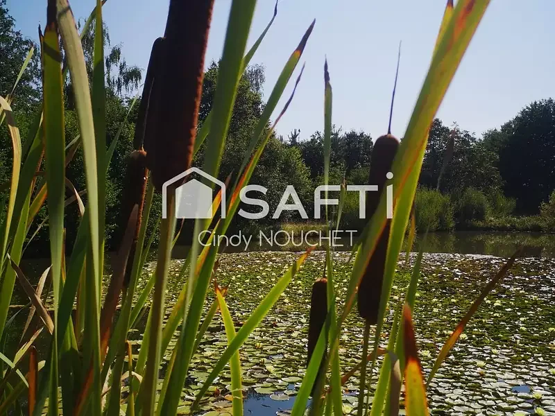 Étang de loisir à Noyen Sur Sarthe (72) — photo 4
