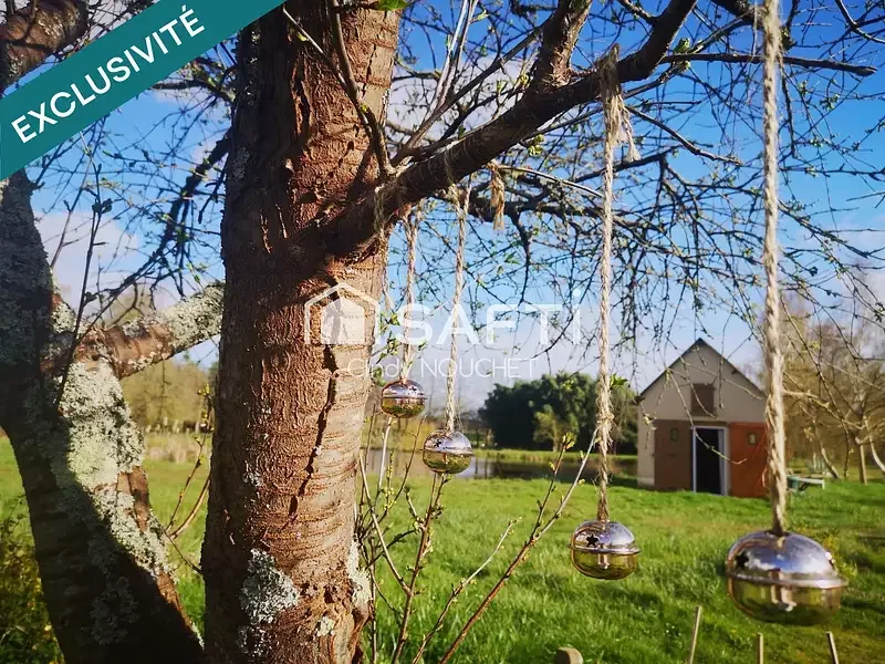 Étang de loisir à Noyen Sur Sarthe (72) — photo 5