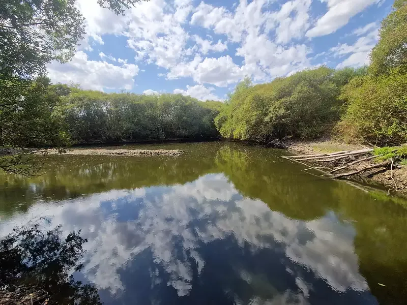 Étang de pêche à Saint Philbert De Bouaine (85)