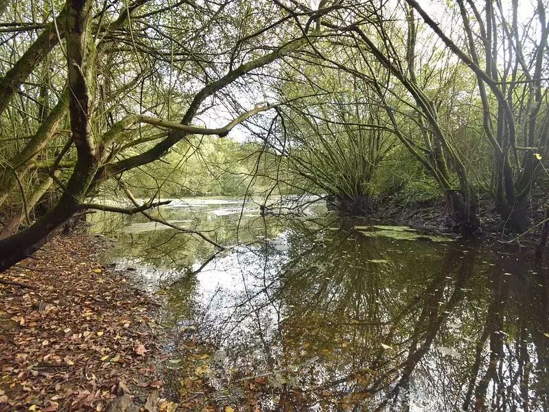 Étang de pêche à Saint Philbert De Bouaine (85) — photo 2