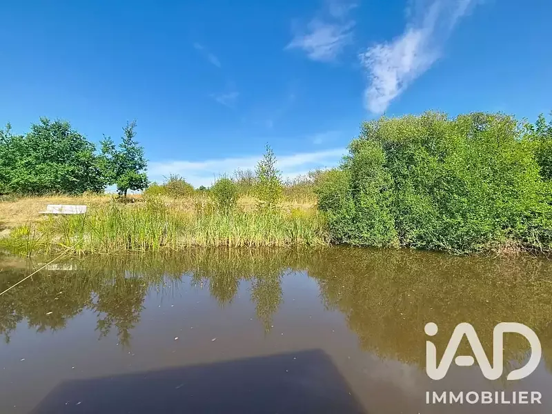 Étang de pêche à Villeneuve En Retz (44) — photo 3