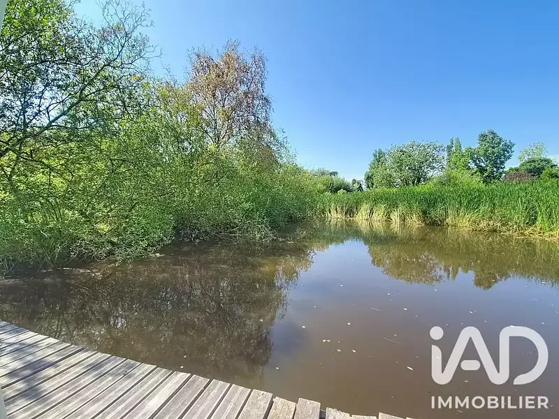 Étang de pêche à Villeneuve En Retz (44) — photo 4
