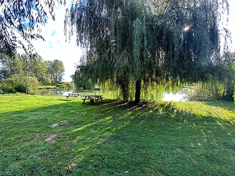 Étang de pêche à Lamnay — photo 4