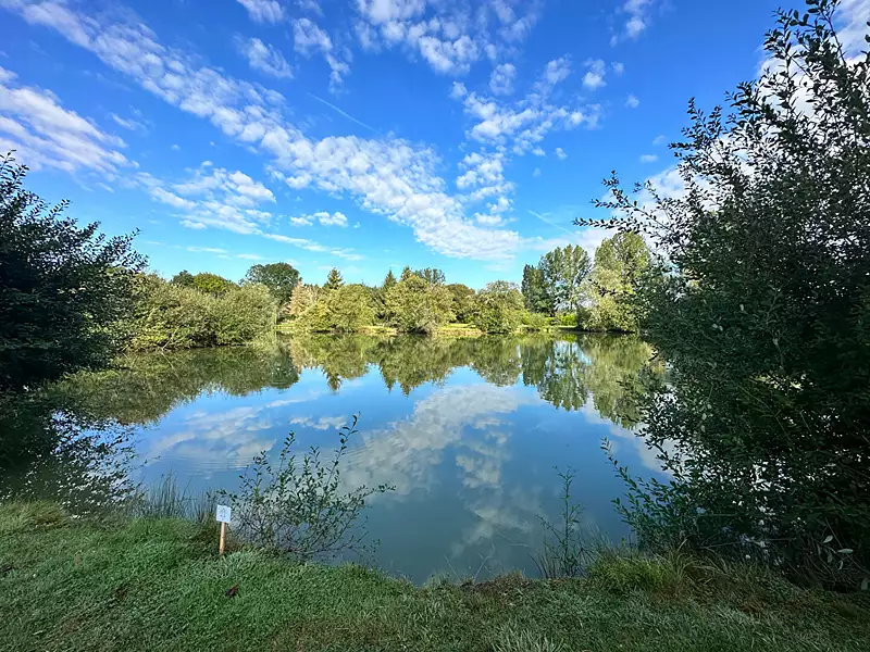 Étang de pêche à Lamnay — photo 2