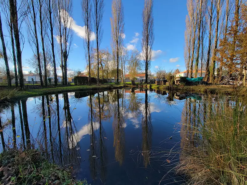 Étang d'agrément à Legé — photo 2