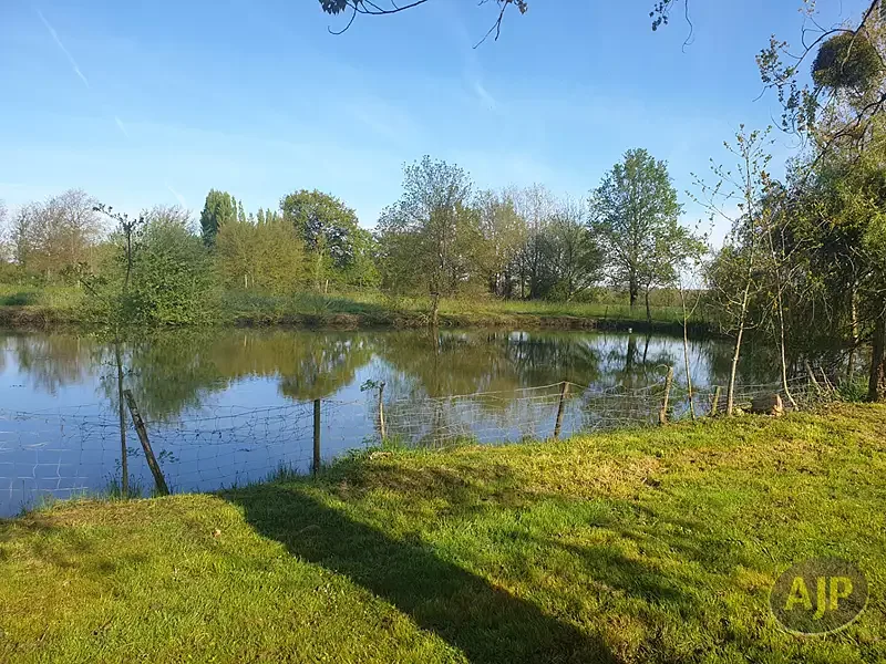 Étang de loisir à Montaigu Vendee (85)