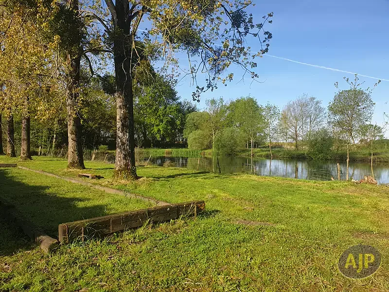 Étang de loisir à Montaigu Vendee (85) — photo 3