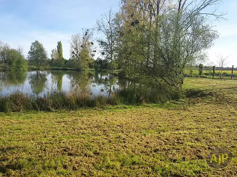 Étang de loisir à Montaigu Vendee (85) — photo 4