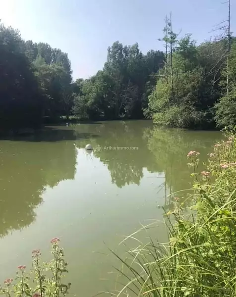 Leisure lake, 1 ha with fishing and amenities in the Loire Valley — photo 4