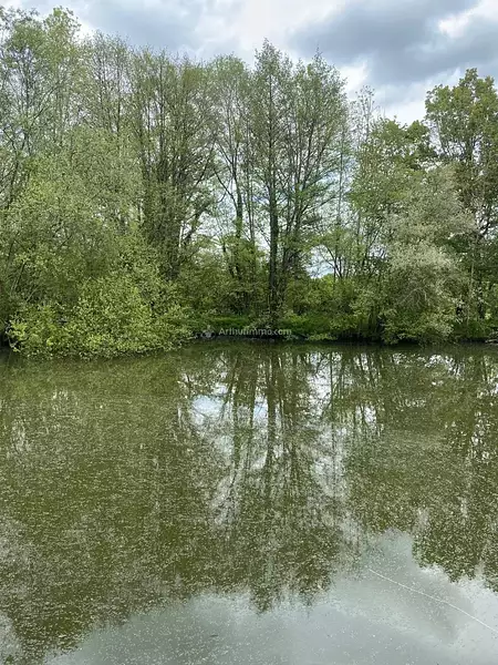 Étang d'agrément à La Chartre-sur-le-Loir